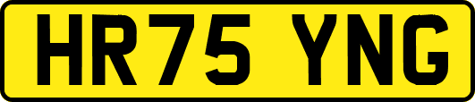 HR75YNG