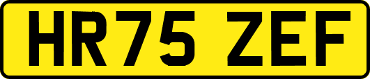 HR75ZEF