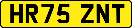 HR75ZNT