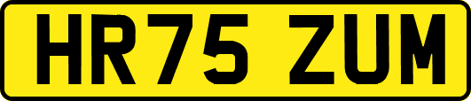 HR75ZUM
