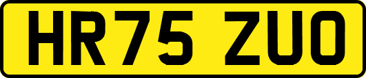 HR75ZUO