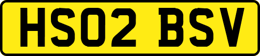 HS02BSV