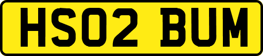 HS02BUM