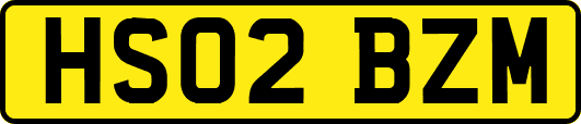 HS02BZM