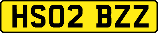 HS02BZZ