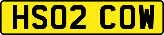 HS02COW