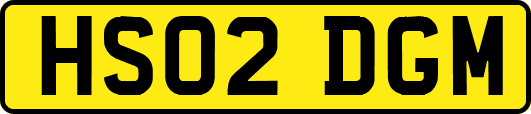 HS02DGM