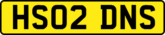 HS02DNS