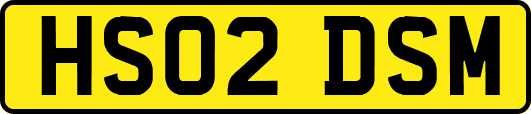 HS02DSM