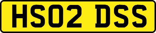 HS02DSS