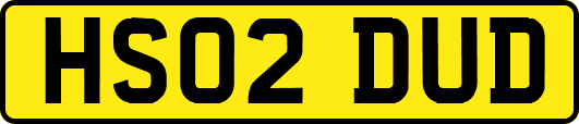 HS02DUD