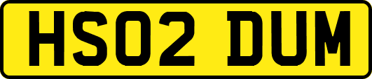 HS02DUM