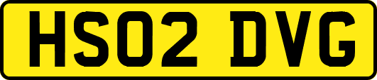 HS02DVG