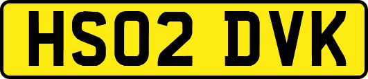 HS02DVK