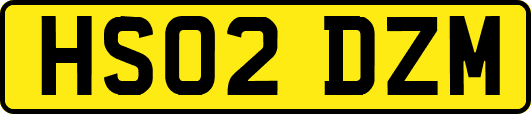 HS02DZM