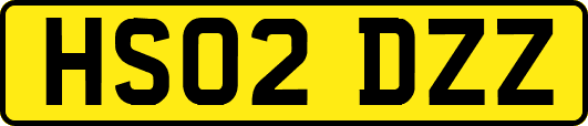 HS02DZZ