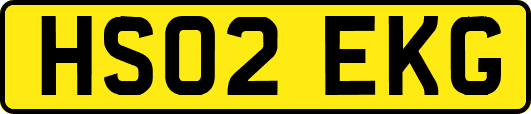 HS02EKG