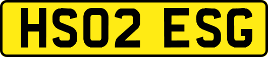 HS02ESG