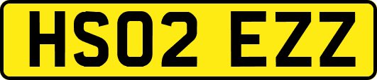 HS02EZZ