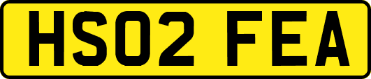 HS02FEA