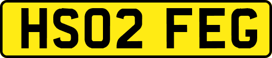 HS02FEG