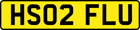 HS02FLU