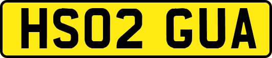 HS02GUA