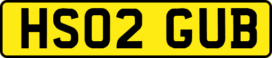 HS02GUB