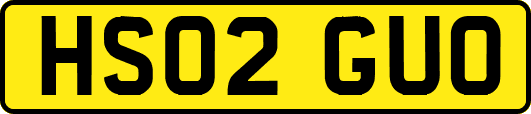 HS02GUO