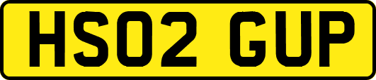HS02GUP