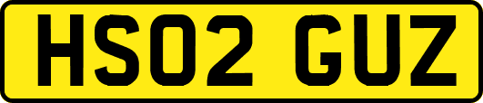 HS02GUZ