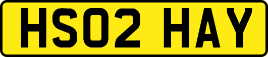 HS02HAY