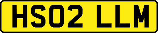 HS02LLM