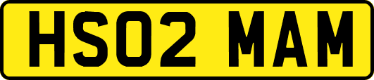 HS02MAM