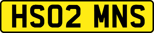 HS02MNS
