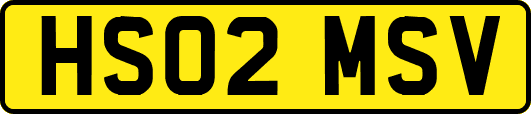 HS02MSV