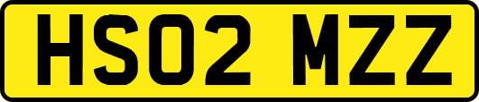 HS02MZZ
