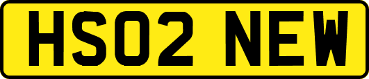 HS02NEW