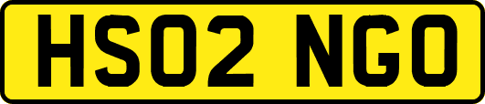 HS02NGO