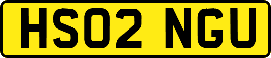 HS02NGU