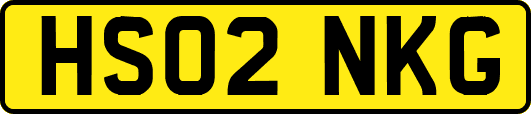 HS02NKG