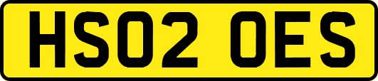 HS02OES