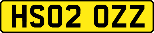 HS02OZZ
