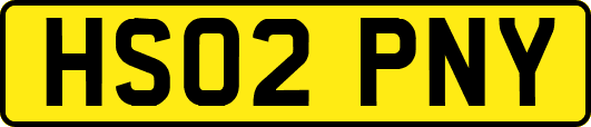 HS02PNY