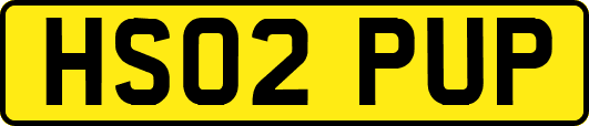 HS02PUP