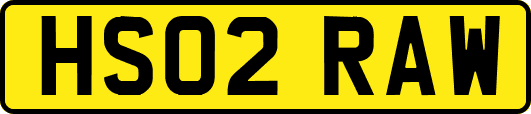 HS02RAW