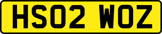 HS02WOZ