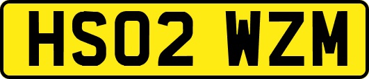 HS02WZM
