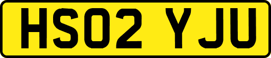 HS02YJU
