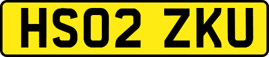 HS02ZKU